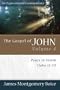 Gospel of John, The: Peace in Storm (John 13-17) (Expositional Commentary)