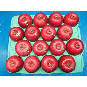 �X�Y ��� �ӂ� 10kg (28~40��) [�󂠂�]
