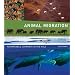 Animal Migration: Remarkable Journeys in the Wild