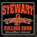 Image of Advanced Band 2008-2009