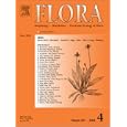 Stem anatomy of Dolichos lablab Linn (Fabaceae): Origin of cambium and reverse orientation of vascular bundles [An article from: Flora]