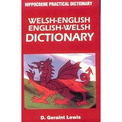Welsh English - English Welsh Practical Dictionary