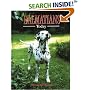 Dalmatians Today (Book of the Breed S)
