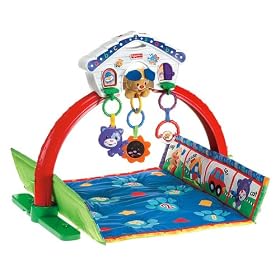 Fisher-Price 2-in-1 Playful Puppy Gym