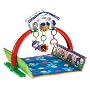 Fisher-Price 2-in-1 Playful Puppy Gym