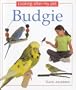 Looking After My Pet Budgie
