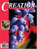 Creation Illustrated