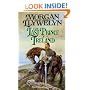 The Last Prince of Ireland (Celtic World of Morgan Llywelyn)