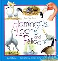 Flamingos, Loons and Pelicans (Take-Along Guides)