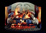 R.H. Peterson FBS-18 18" Gas Log Fireback Reflector - No particular finish