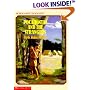 Pocahontas and the Strangers (Scholastic Biography)