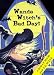 Wanda Witch's Bad Day (Diorama Pop-Up Books)