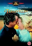 Texasville [DVD]