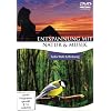 Entspannung mit Natur & Musik: Tiefer Wald & Birdsong