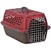 Petmate Kennel Cab Fashion, Medium, Samba Red/Coffee Grounds