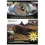 The Modern Day Mountain Man Season 1, Brown Bear, Caribou, Dall Sheep, Wolf, Elk, and Mule Deer Hunting from Alaska and Idaho