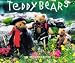 Book Teddy Bears