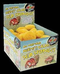 Zoo Med Hermit Crab Sponge