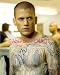 Wentworth Miller PRISON BREAK autographed TOPLESS photo