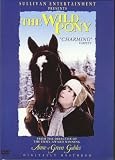 The Wild Pony