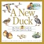 A New Duck : My First Look at the Life Cycle of a Bird (My First Look at Nature)