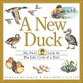 A New Duck : My First Look at the Life Cycle of a Bird (My First Look at Nature)
