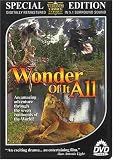 Wonder of It All