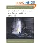 Confederate Submarines and Torpedo Vessels 1861-65 (New Vanguard)