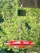 Wildlife Accessories Trap-It_Ant Trap, Red