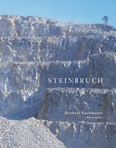 Steinbruch (German Edition)