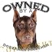Doberman Pinscher RED Owned By Adult T Shirt