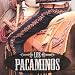 Los Pacaminos  from What