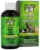 51Q3HJt6TYL. SL160  Feline Urinary Tract Infection