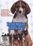  Hundebabys ...
