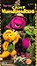 Camp Wanna Runna Round [VHS]