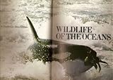 Wildlife of the Oceans