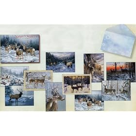 Nature's Majesty Leanin' Tree Christmas Card Assortment