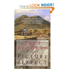 Picture Perfect
