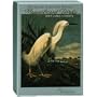 Pomegranate Audubon/Magnificent Birds Standard Boxed Note Card Set (Pack of 2)