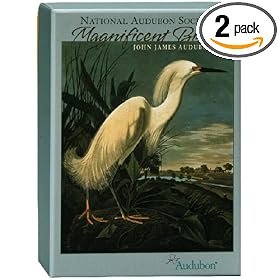 Pomegranate Audubon/Magnificent Birds Standard Boxed Note Card Set (Pack of 2)