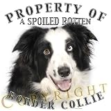 Border Collie Mousepad Dog Mouse Pad Property Of