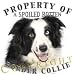 Border Collie Property Of Adult T Shirt