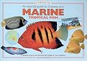 An Essential Guide to Choosing Your Marine Tropical Fish