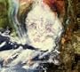 Formless