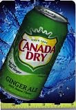 Large HVV High Visability Vendor Size Canada Dry Ginger Ale CAN Soda Vending Machine Flavor Strip, Label Card, Not a Sticker
