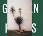Ed Panar: Golden Palms