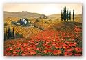Hills of Tuscany II by Steve Wynne 24"x36" Art Print Poster