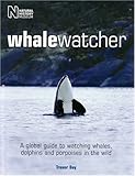 Whale watcher