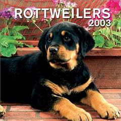 Rottweilers: Mini Wall Calendar: 2003