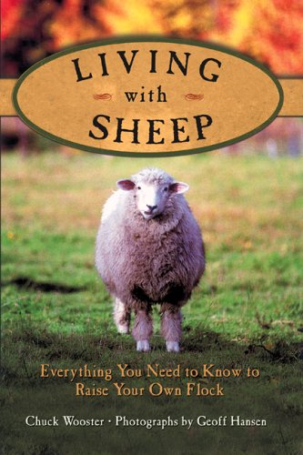 Sheep